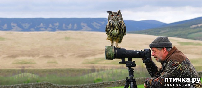 ���� 13: ����� ���������� ���������-����������� :-)