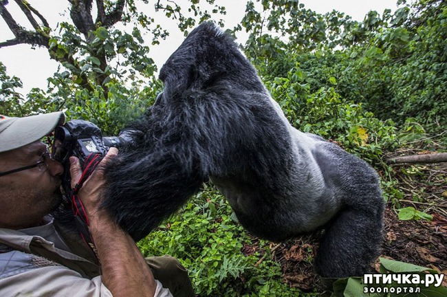 ���� 14: ����� ���������� ���������-����������� :-)