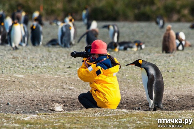 ���� 18: ����� ���������� ���������-����������� :-)