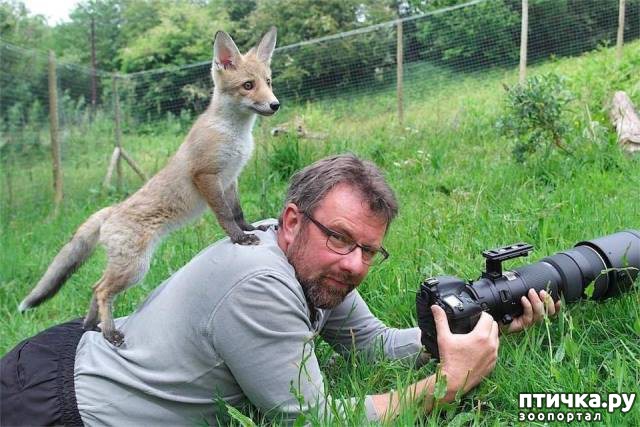 ���� 20: ����� ���������� ���������-����������� :-)