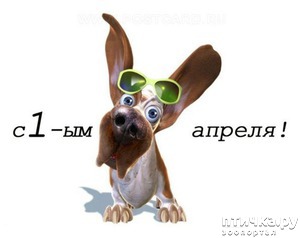 ����: � ����������