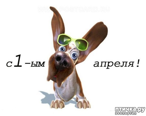 ���� 1: � ����������