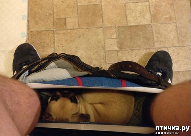 ���� 2: ������ ��������...