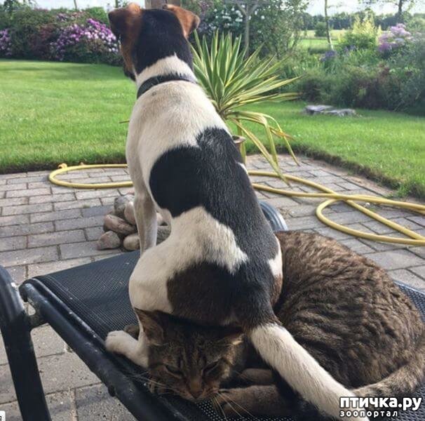 ���� 4: ������ ��������...