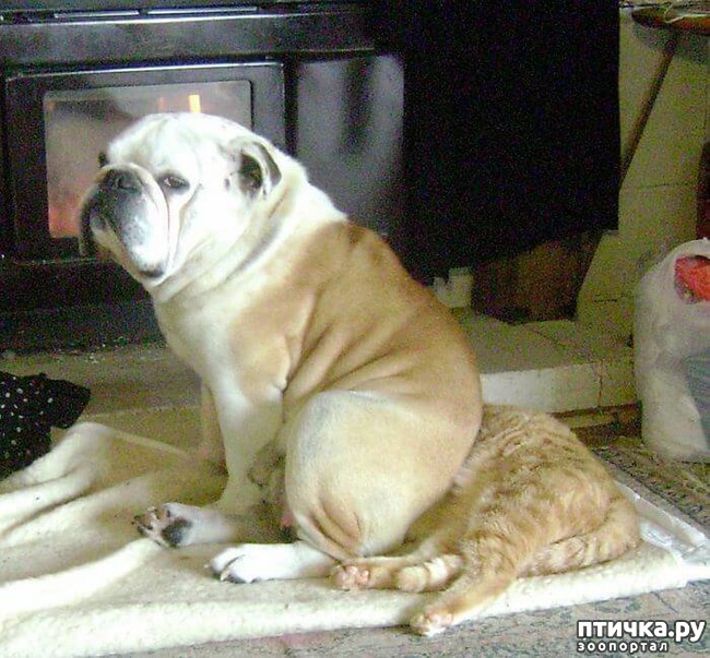 ���� 5: ������ ��������...