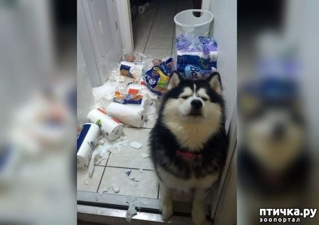 ���� 6: ������ ��������...