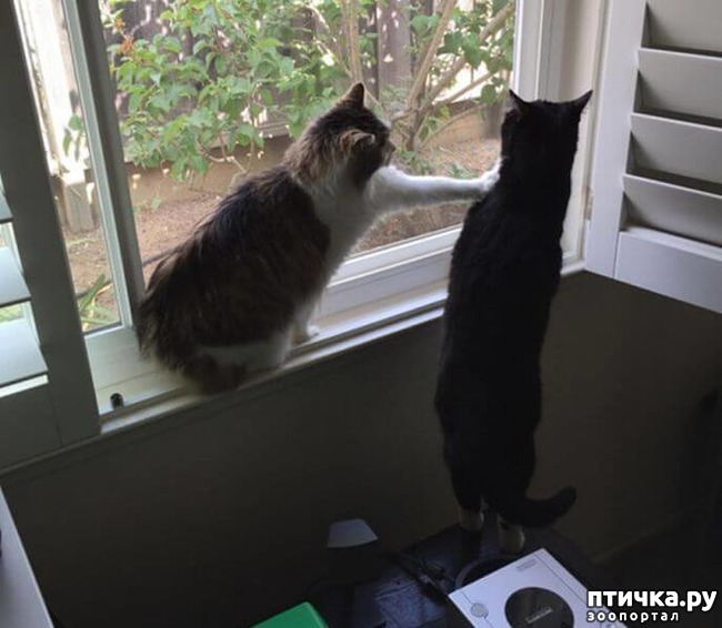 ���� 7: ������ ��������...