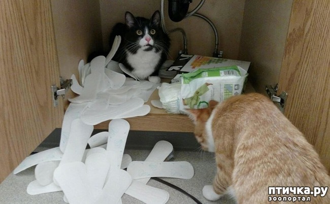 ���� 9: ������ ��������...