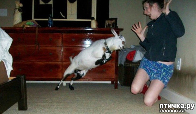 ���� 13: ������ ��������...