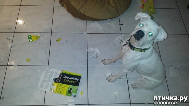 ���� 16: ������ ��������...