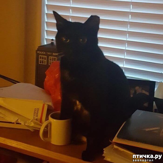 ���� 19: ������ ��������...