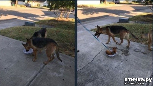 ���� 20: ������ ��������...