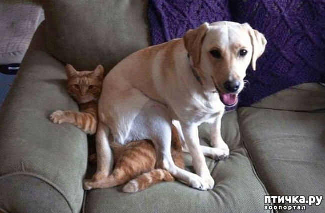 ���� 21: ������ ��������...