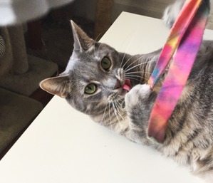 ����: �� � �� �����: ��� ��������� ��������������� ����