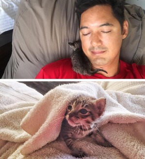 ����: ���� ������� �� ����� �������� ��� ����� - �������� � �������)