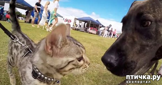 ���� 1: ���� ������� �� �������� ����� � ��� ��� ��� �����������