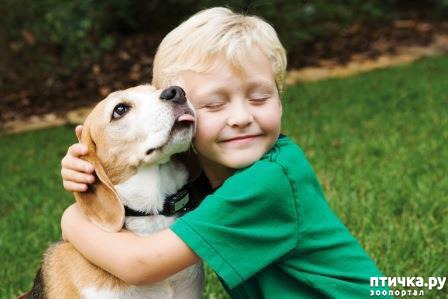 ���� 1: �� �������� (����������� ��������)