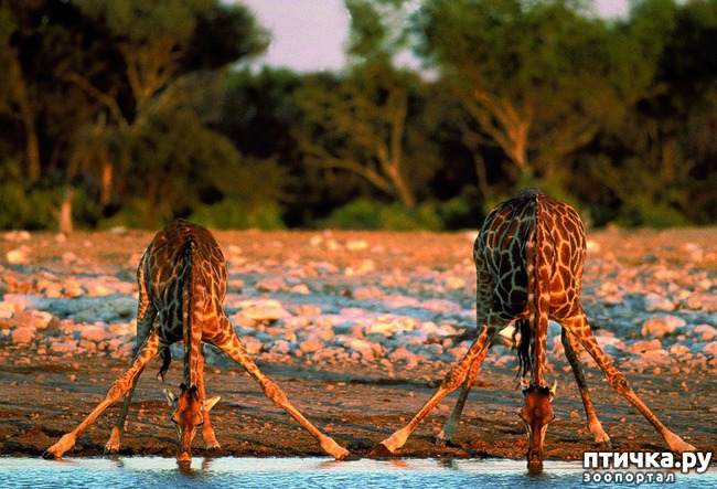 ���� 1: ������������ � ����������� �������