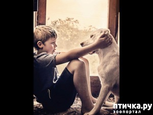 ����: �� �������� (���������)