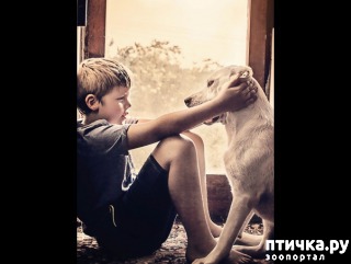 ���� 1: �� �������� (���������)