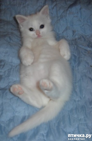 ����: 5 ������ - ��� ����� ��� ����? (����� �).