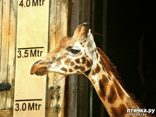 ���� 2: ������������ � ����������� �������