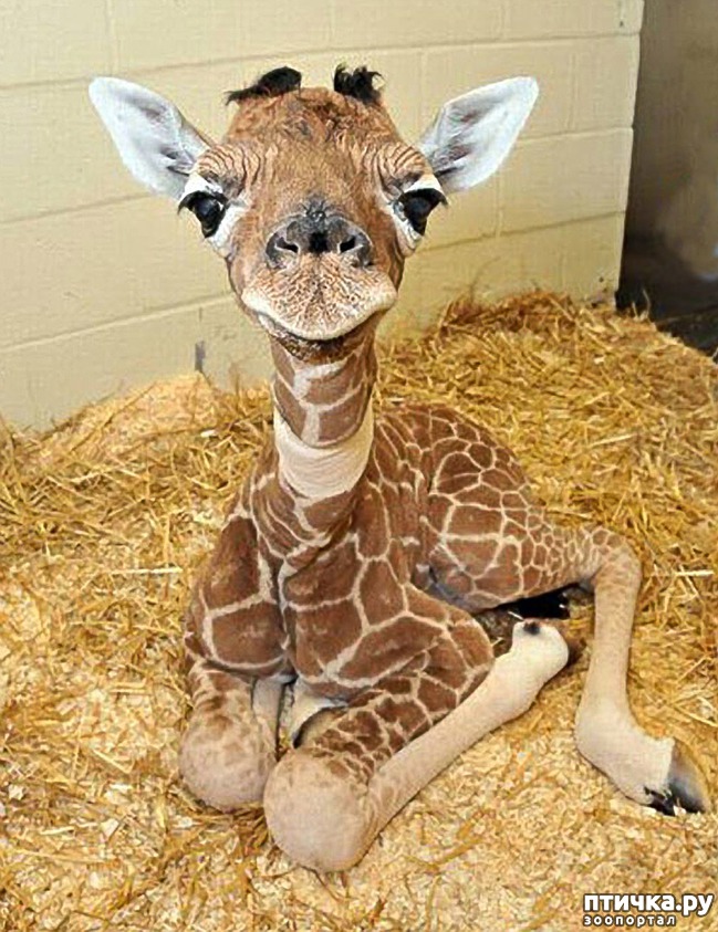 ���� 3: ������������ � ����������� �������