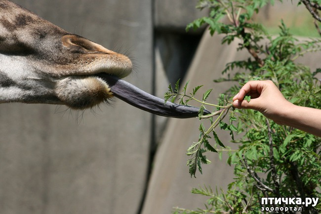 ���� 5: ������������ � ����������� �������