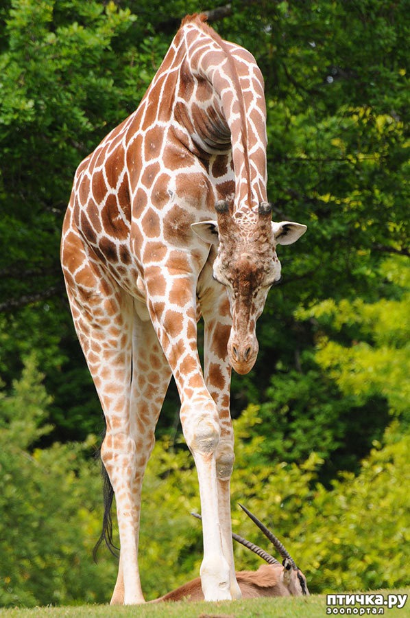 ���� 7: ������������ � ����������� �������