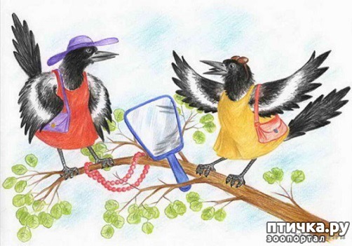 ���� 5: ����Ѩ��. � ����� ����� �������!