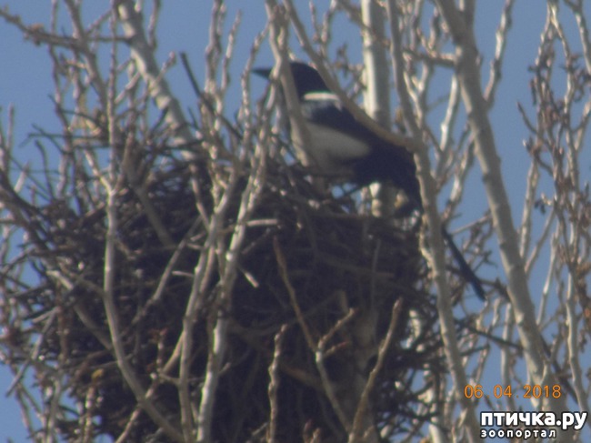 ���� 4: ����Ѩ��. � ����� ����� �������!