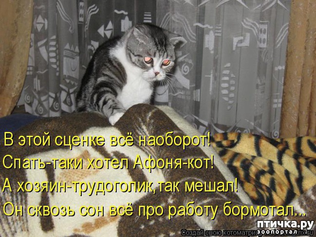 ���� 2: ��������� �����������: ������, ������...