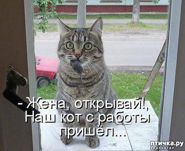 ���� 9: ��������� �����������: ������, ������...