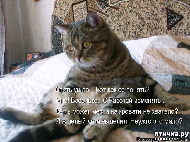 ���� 10: ��������� �����������: ������, ������...