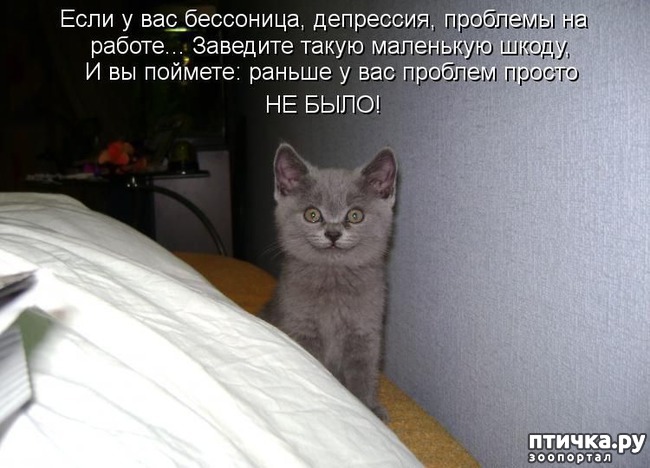 ���� 11: ��������� �����������: ������, ������...