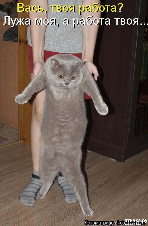 ���� 12: ��������� �����������: ������, ������...