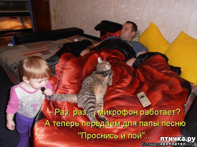 ���� 14: ��������� �����������: ������, ������...