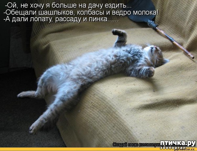 ���� 15: ��������� �����������: ������, ������...