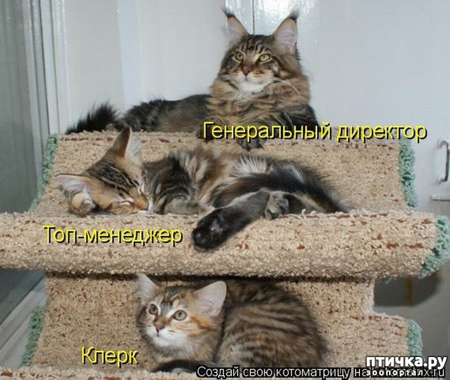 ���� 16: ��������� �����������: ������, ������...