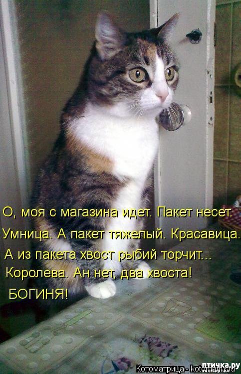 ���� 18: ��������� �����������: ������, ������...