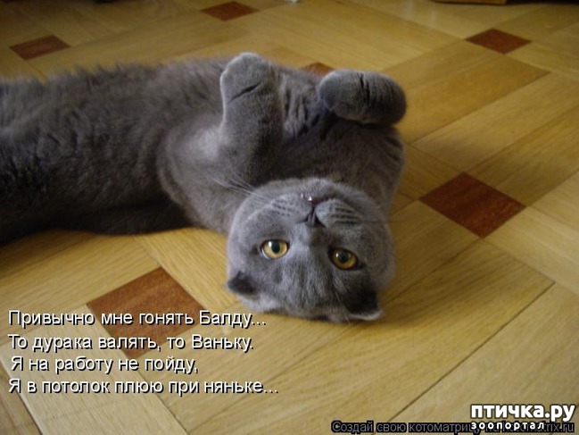 ���� 20: ��������� �����������: ������, ������...