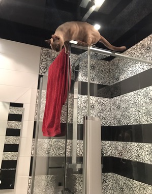 ����: C ����� ������ ����� (5)