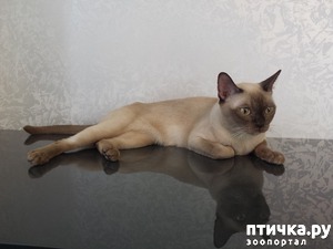 ����: C ����� ������ ����� (1)