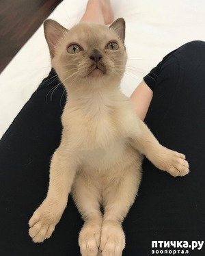 ����: C ����� ������ ����� (10)