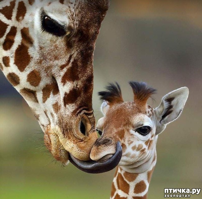 ���� 1: ������ ������. ����� ������ ������ ��������� ����.