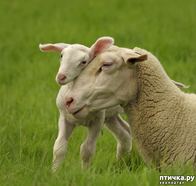 ���� 2: ������ ������. ����� ������ ������ ��������� ����.