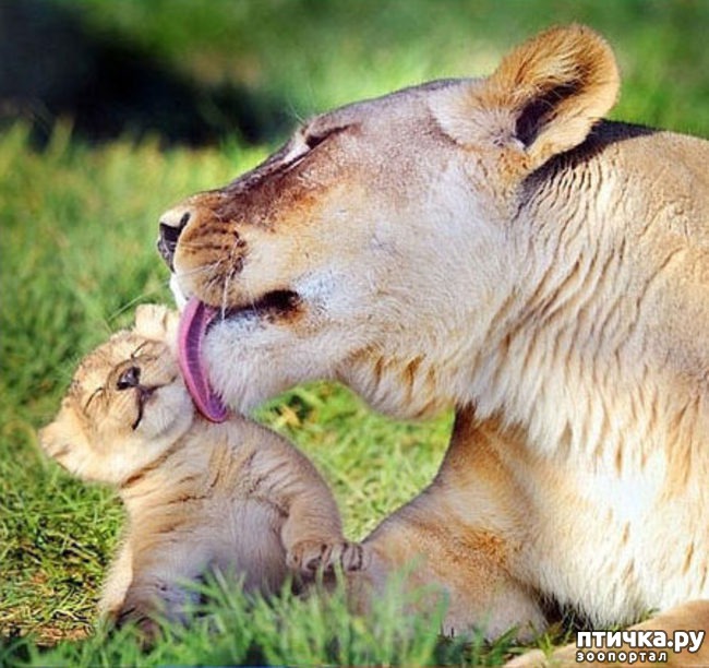 ���� 3: ������ ������. ����� ������ ������ ��������� ����.