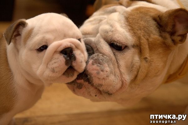 ���� 4: ������ ������. ����� ������ ������ ��������� ����.