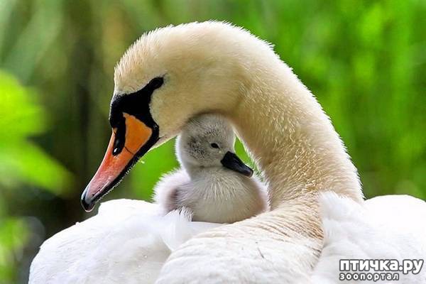 ���� 5: ������ ������. ����� ������ ������ ��������� ����.