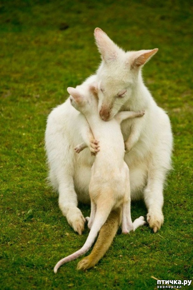 ���� 7: ������ ������. ����� ������ ������ ��������� ����.